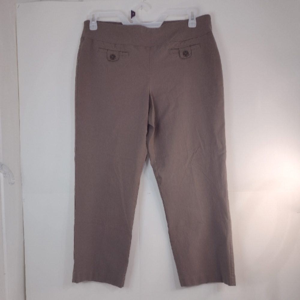 Style & Co. Stretch petite pants size (PXL) Short